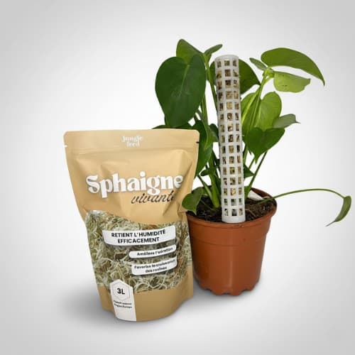 Kit Tuteur Sphaigne - 2 Tuteurs Empilables 50cm + Sphaigne 3L