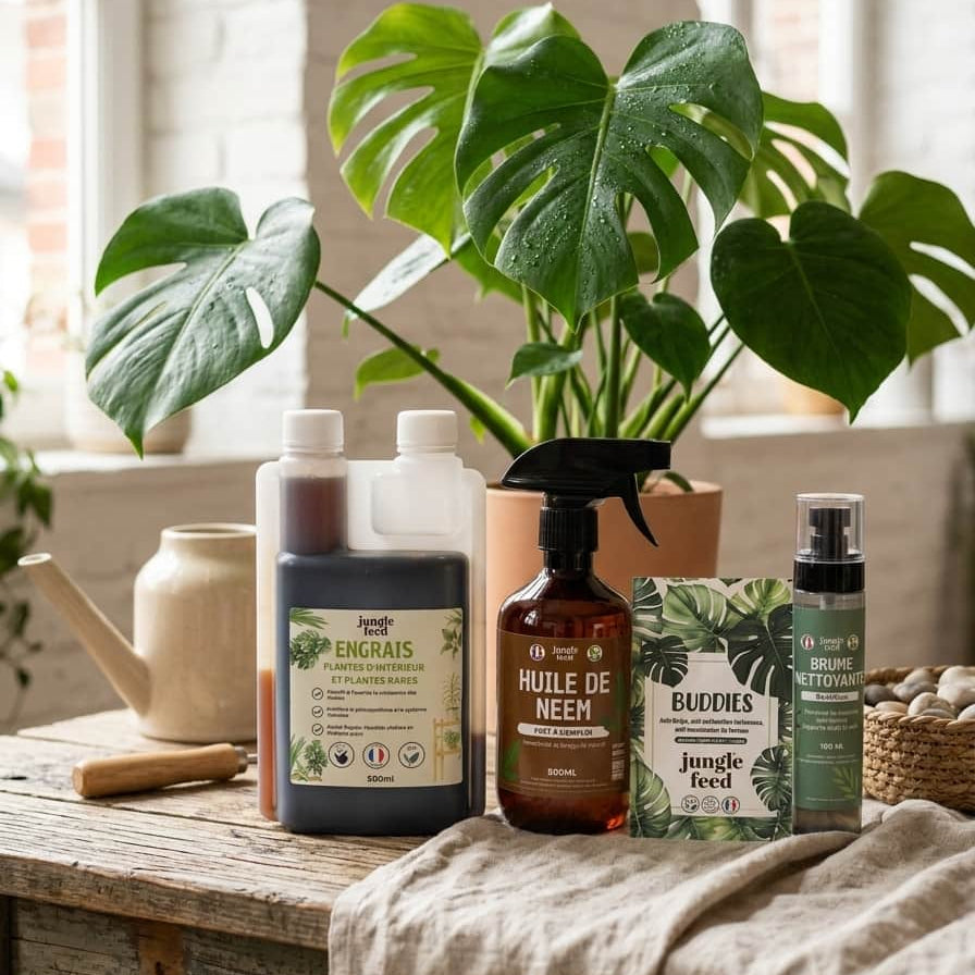 Application du kit de soin sur plantes tropicales rares : Monstera, Philodendron, Alocasia et Anthurium pour une croissance optimale