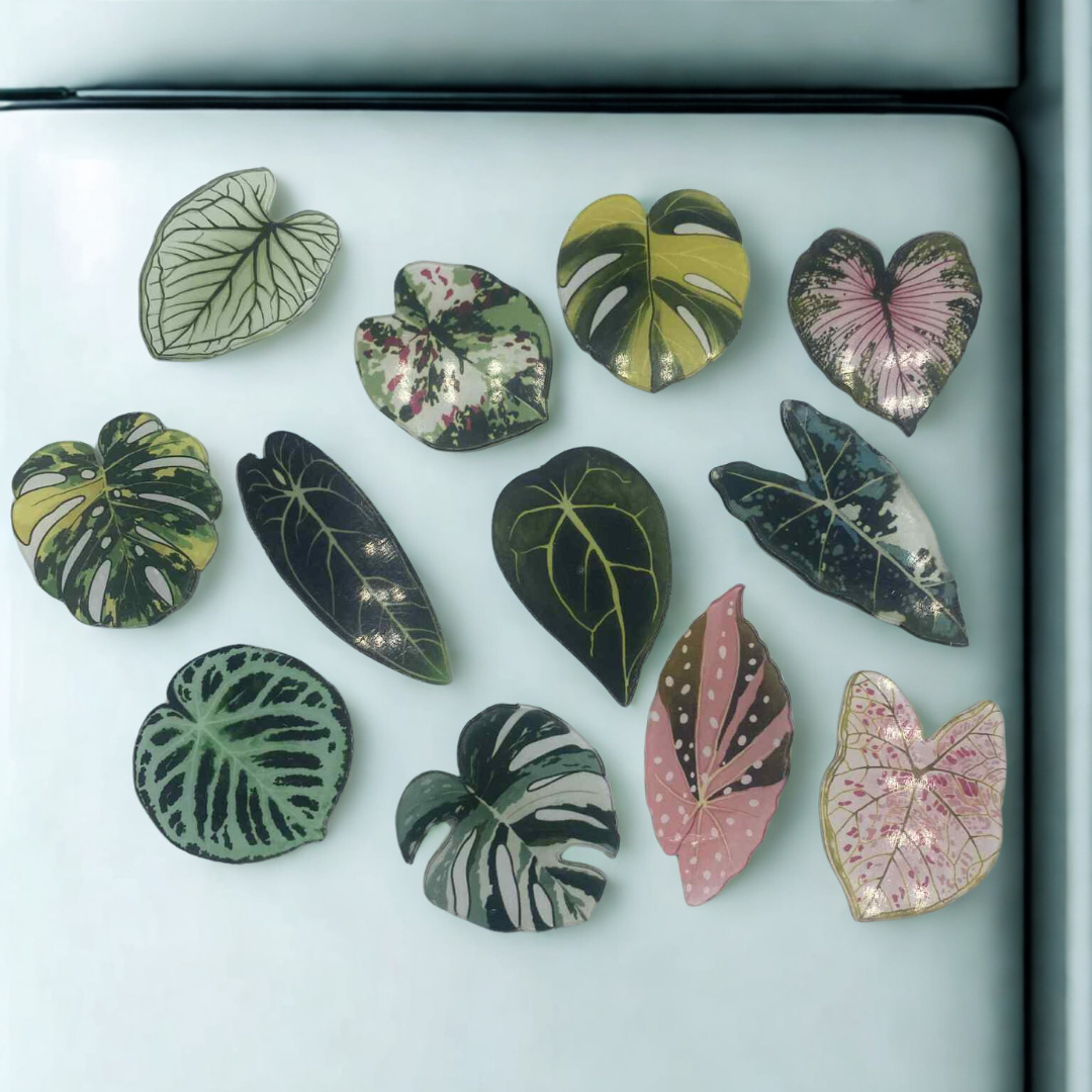 Un ensemble de 12 aimants décoratifs en forme de feuilles de plantes tropicales (Monstera, Caladium, Anthurium) sur la porte d'un réfrigérateur. Les aimants sont détaillés et de différentes couleurs, avec un effet pailleté.