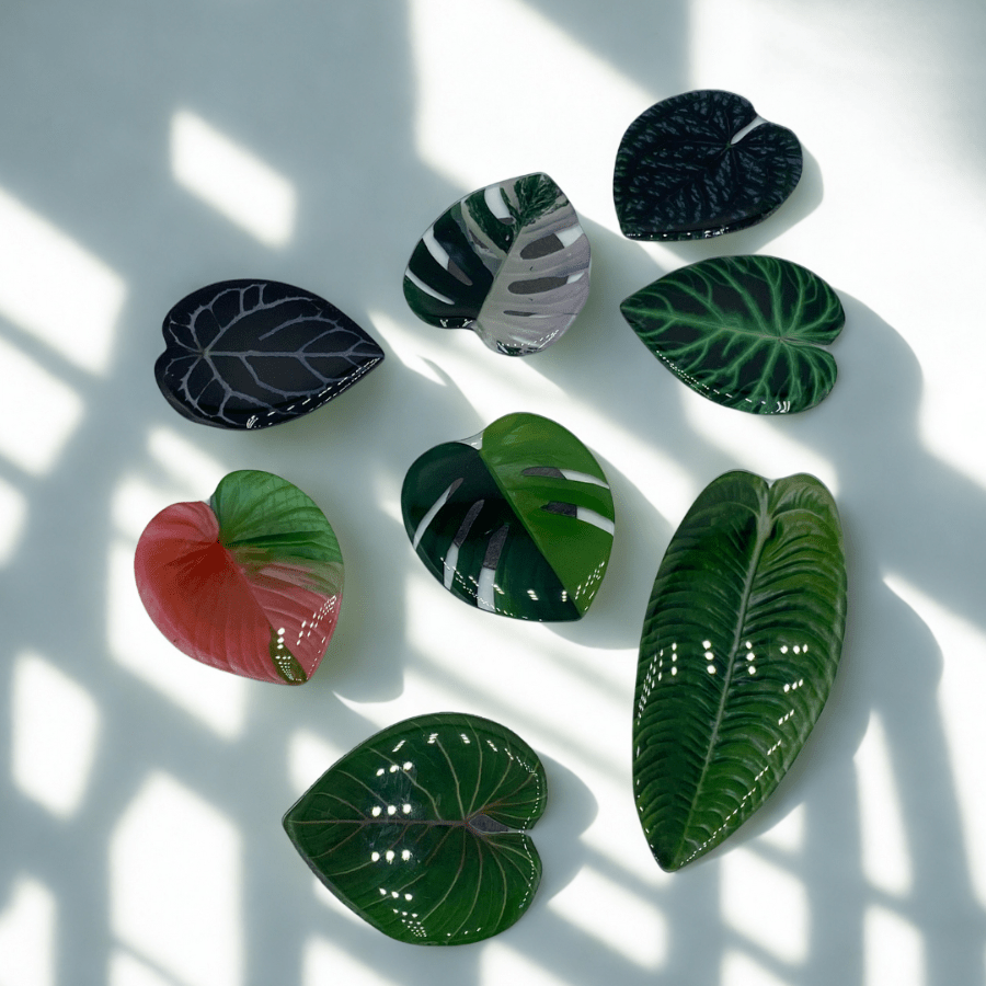 Aimants feuilles tropicales - Jungle Feed