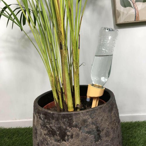 Arroseur goutte - à - goutte de précision - Jungle Feed