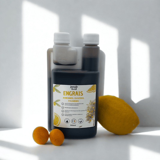 Engrais Plantes Méditerranéennes 500ml - Agrumes, Oliviers, Palmiers | Jungle Feed - Jungle Feed