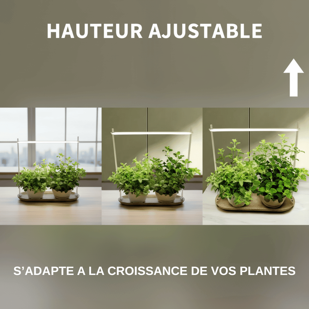 Lampe de Croissance LED "Urban Green" pour Plantes d'Intérieur - Jungle Feed