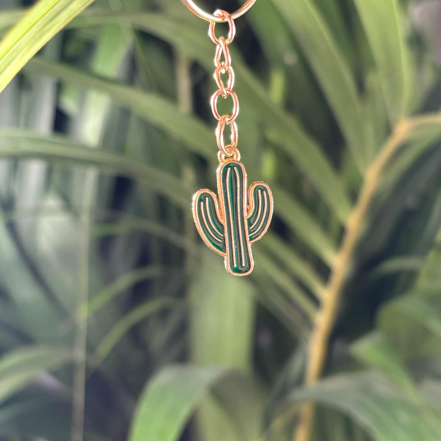 Lot de 3 de porte - clés cactus métal - Jungle Feed