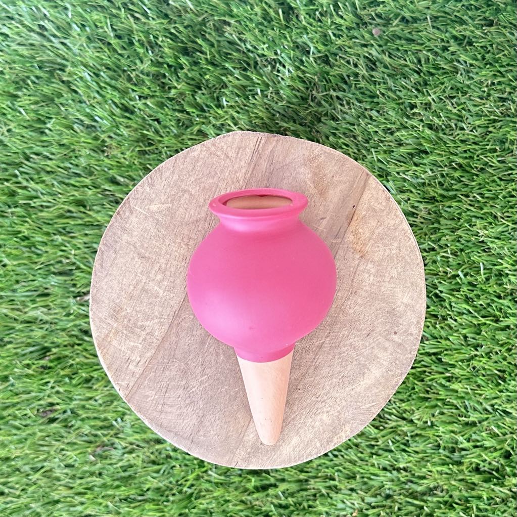 Ollas en céramique colorées pour irrigation - Jungle Feed