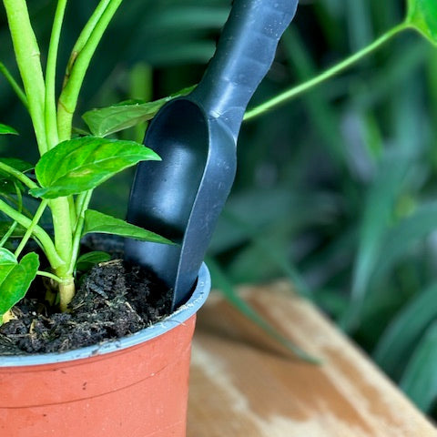 petite pelle jardin noir en vue gros plan