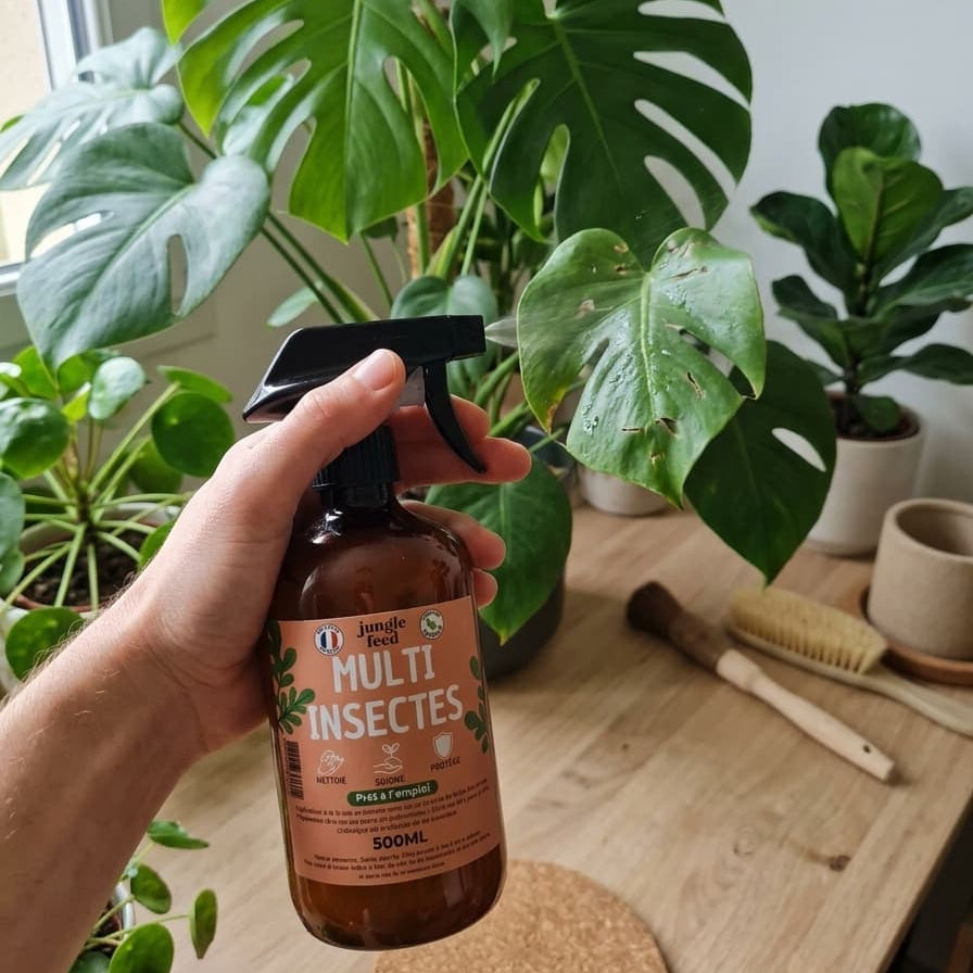 Zoom sur l'application du spray Jungle Feed sur une feuille de Monstera pour lutter contre les nuisibles.