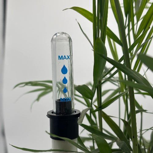 Sonde d'humidité plantée dans un pot - Jungle Feed