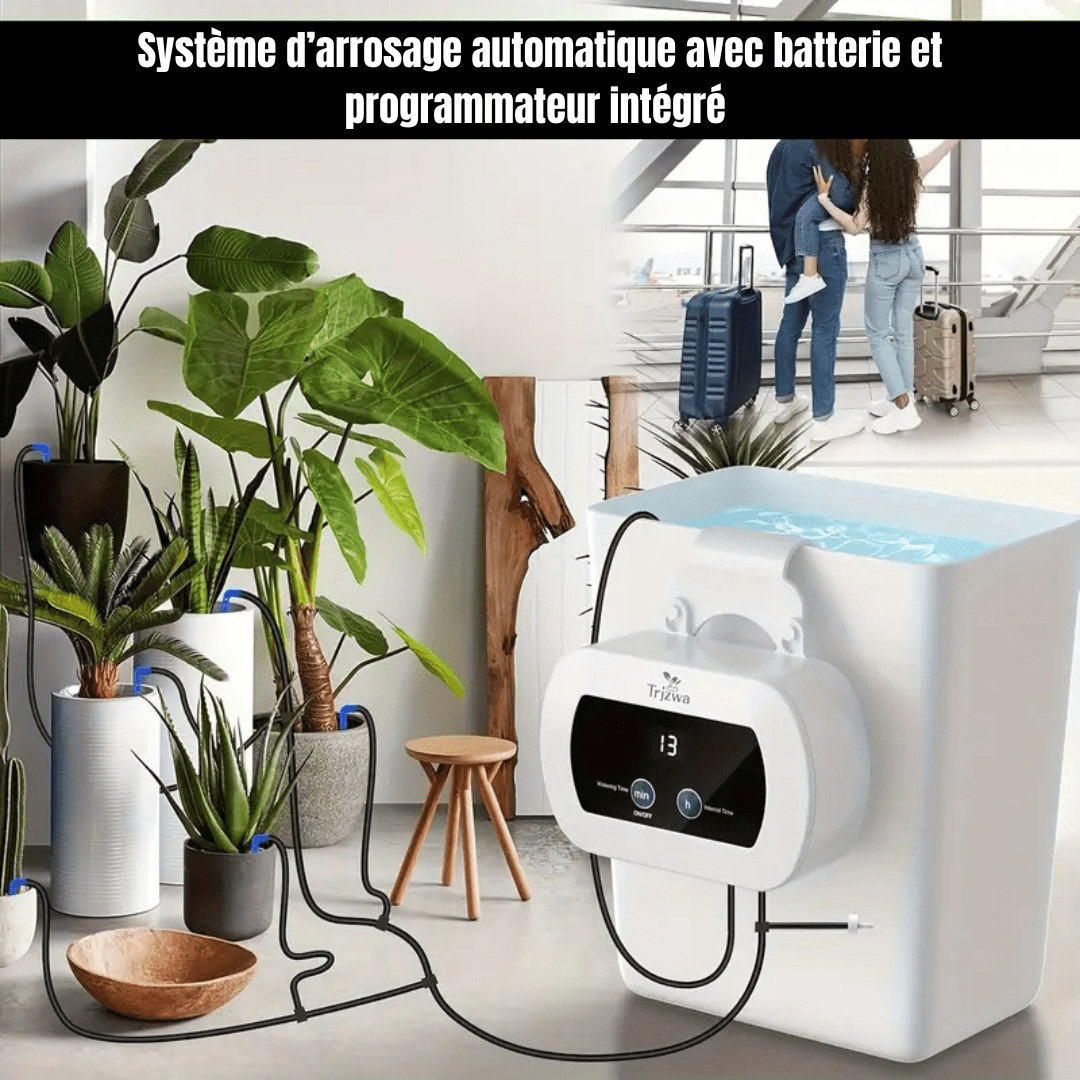 Système d'arrosage automatique pour plantes : arrosage connecté vacances –  Jungle Feed