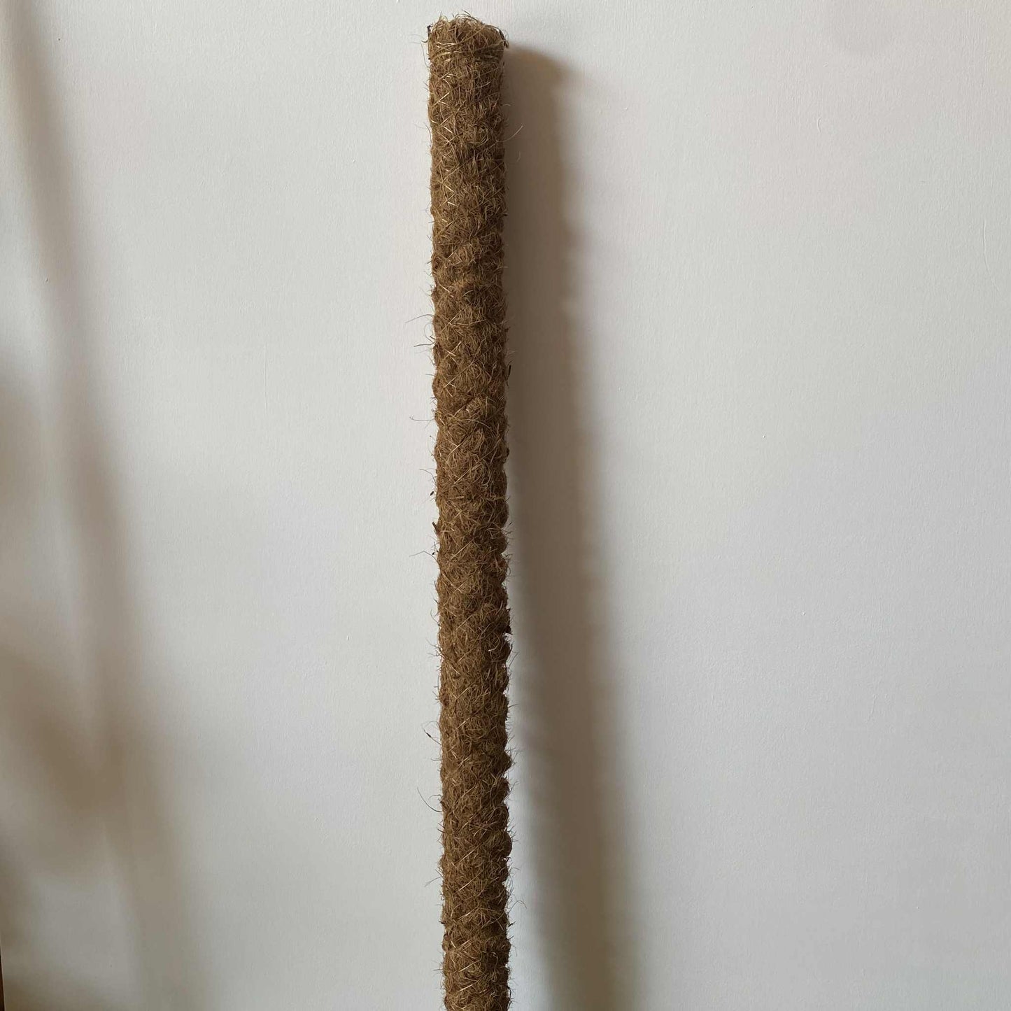 Tuteur XXL en fibre de coco pour plantes d'intérieur - Jungle Feed