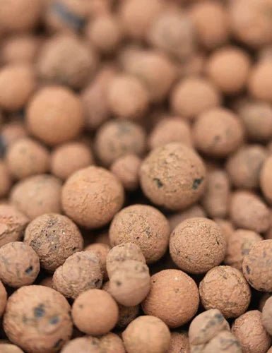 Billes d’argile : drainage et humidité optimaux - Jungle Feed