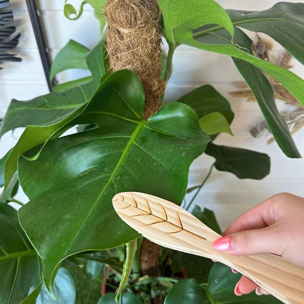 Brosse de nettoyage : pour des feuilles éclatantes et saines - Jungle Feed