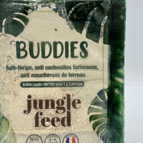 Thrips vs autres nuisibles : comment les différencier et adapter son traitement