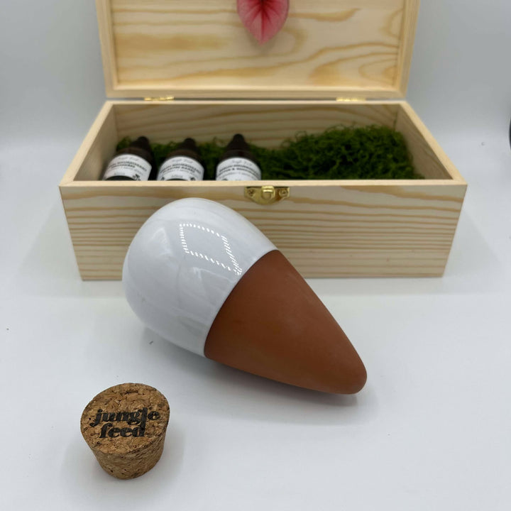 Comment les ollas peuvent-elles améliorer la santé des plantes - Jungle Feed