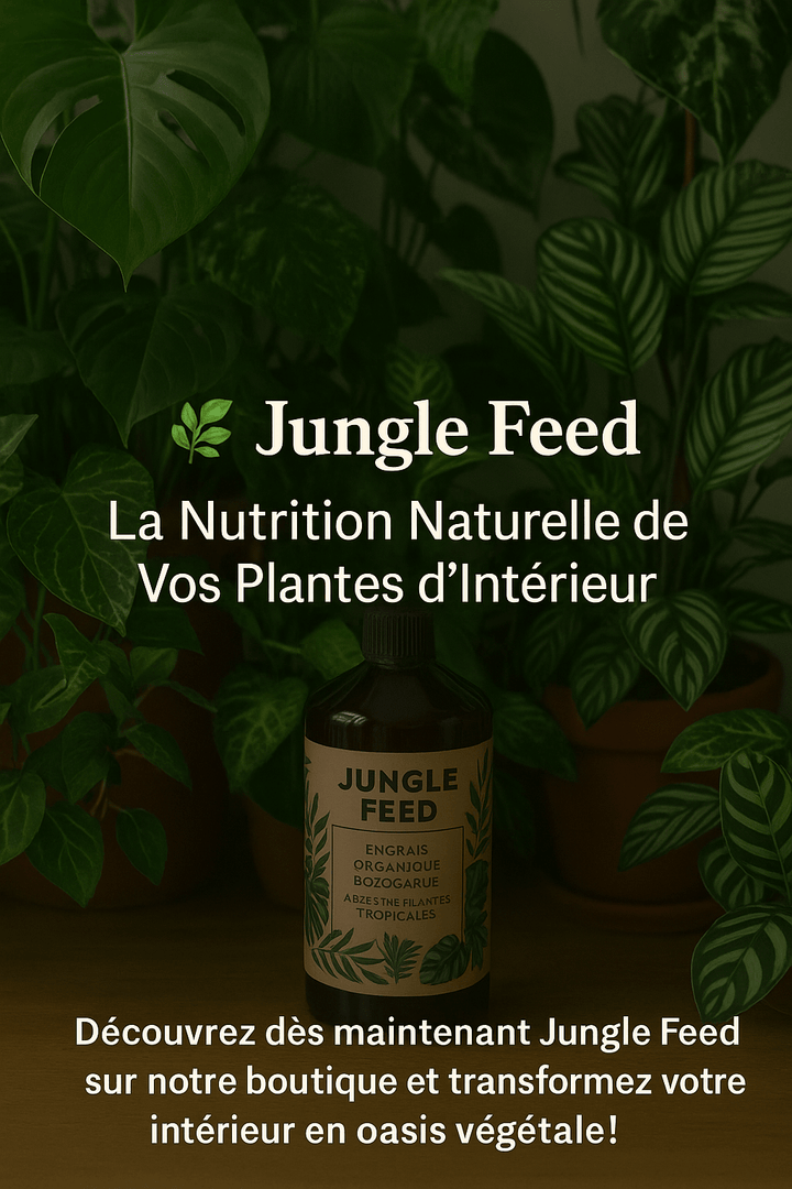 Jungle Feed : La Nutrition Naturelle de Vos Plantes d’Intérieur - Jungle Feed