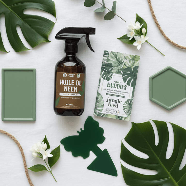 Top 8 des Meilleurs Produits Anti-Thrips pour vos Plantes d'Intérieur