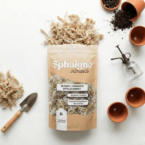 Sphaigne naturelle pour plantes d'intérieur - mousse vivante pour tuteur et bouturage - Jungle Feed