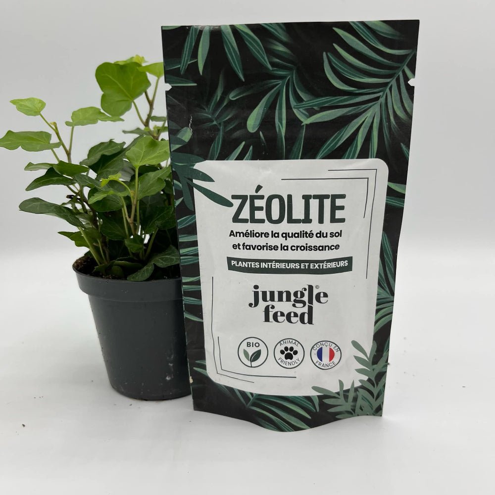 La zéolite : un atout naturel pour un sol fertile - Jungle Feed