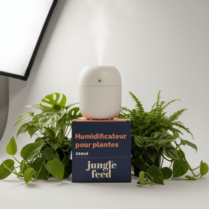 Comparatif Humidificateurs pour Plantes 2026 : Quel Modèle Choisir ?