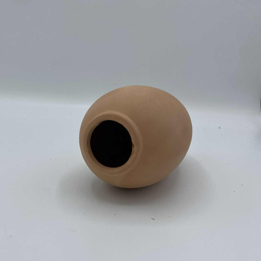 Optimiser l’arrosage en hiver : astuces pour éviter le sur-arrosage