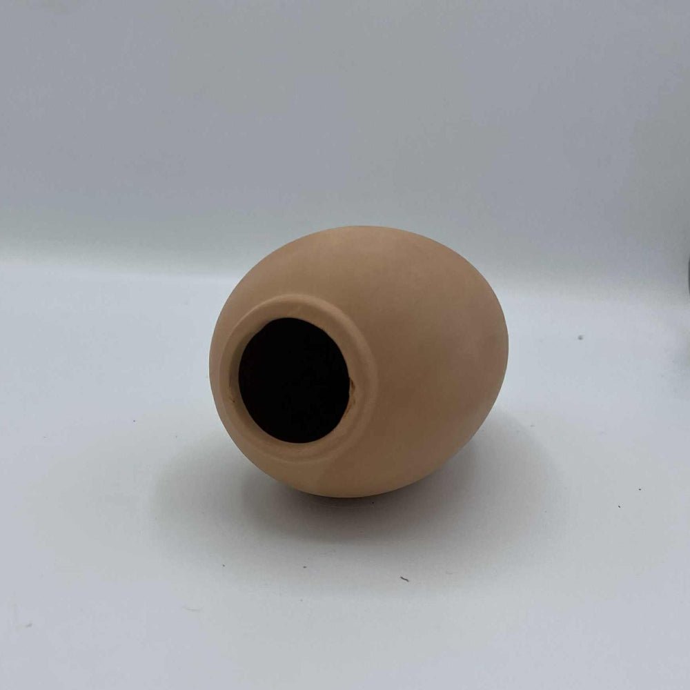 Optimiser l’arrosage en hiver : astuces pour éviter le sur-arrosage - Jungle Feed