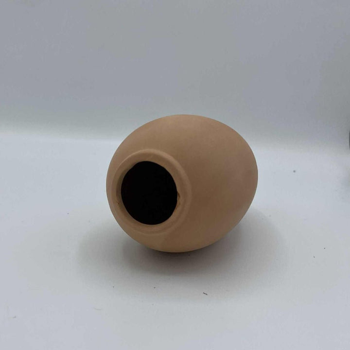 Optimiser l’arrosage en hiver : astuces pour éviter le sur-arrosage - Jungle Feed