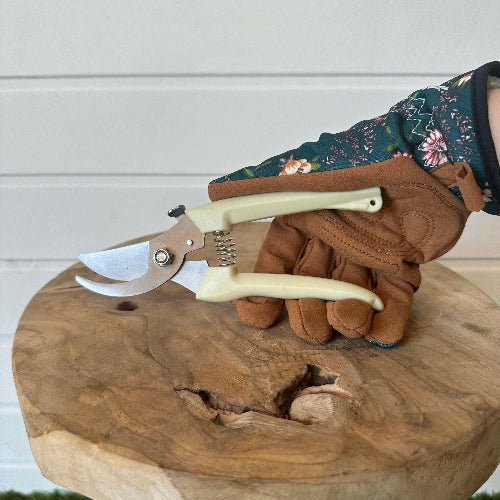 Quels outils choisir pour un entretien facile de vos plantes d’intérieur ? - Jungle Feed