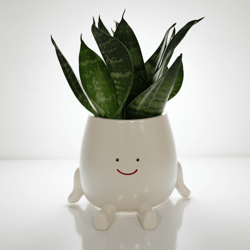 Pots et rempotage - cache-pots outils tapis de rempotage plantes - Jungle Feed