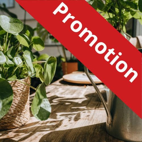Produits en réduction 🪴 - Jungle Feed