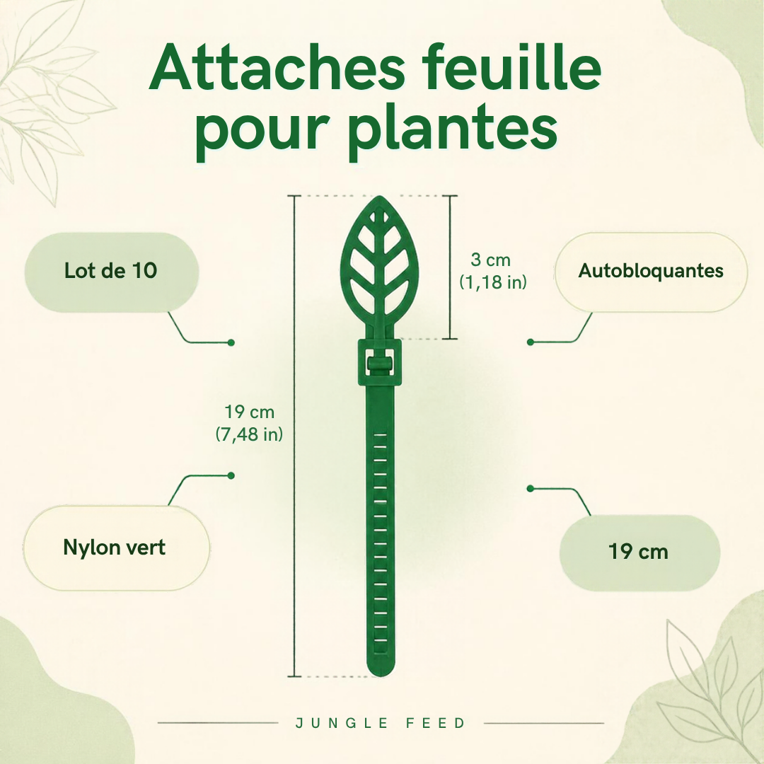 Dimensions des attaches feuille pour plantes : 19 cm de long, feuille de 3 cm, lot de 10 – Jungle Feed