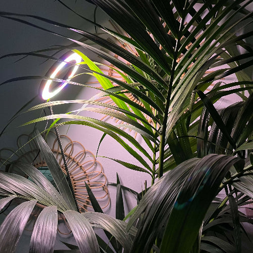 Lámpara LED grande para cultivo de plantas de 155 cm