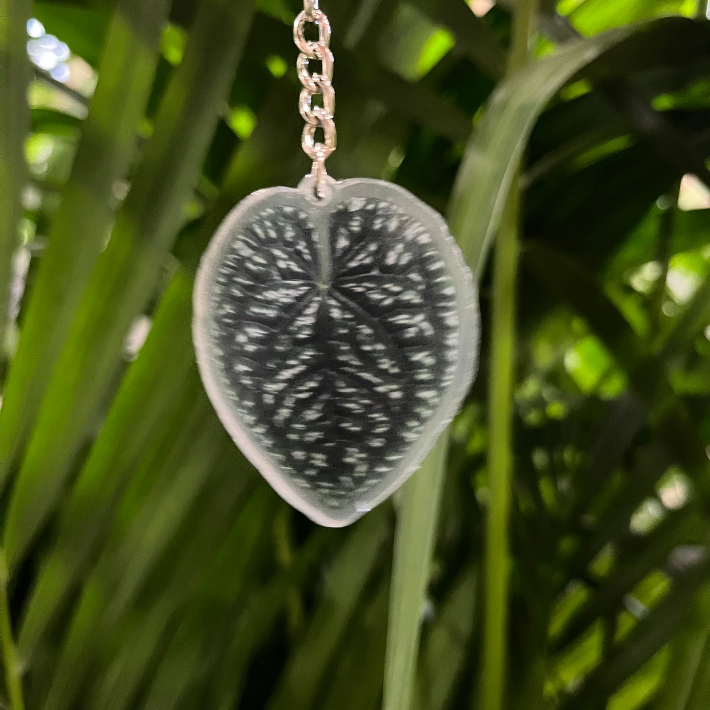 Porte-clés feuille de plante en acrylique - colorés et élégants