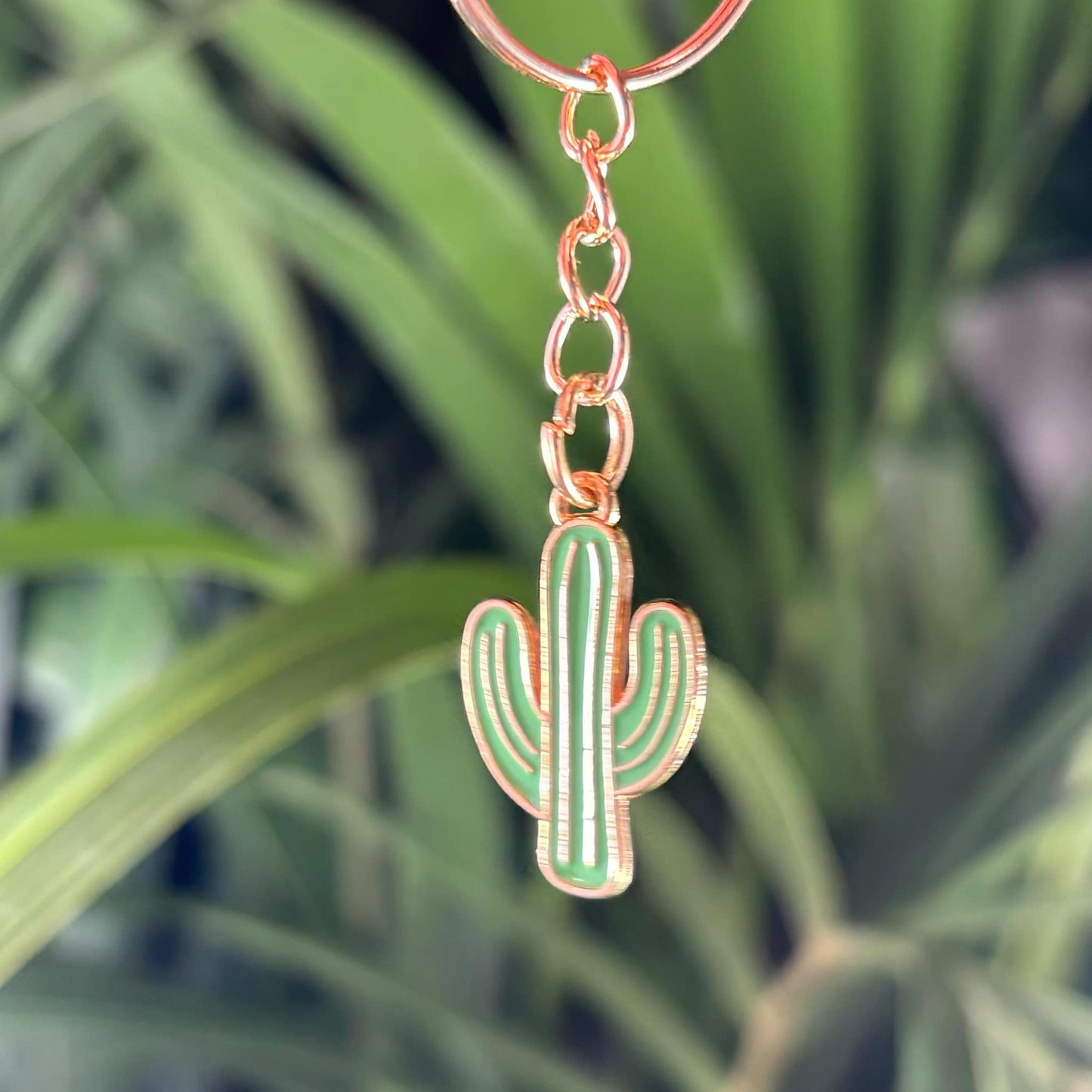 Juego de 3 llaveros metálicos de cactus