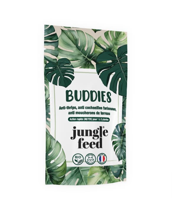 es thrips, moucherons de terreau et cochenilles sont parmi les ravageurs les plus courants qui peuvent infester vos plantes d'intérieur et d'extérieur. Ces petits insectes peuvent causer des dommages importants à vos végétaux, affectant leur croissance et leur santé.