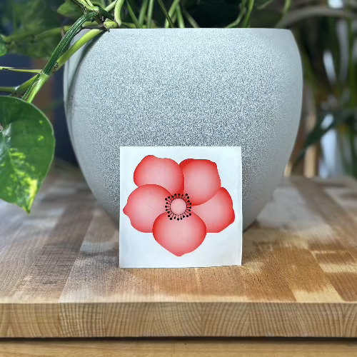 attrapes mouches à coller sur une vitre