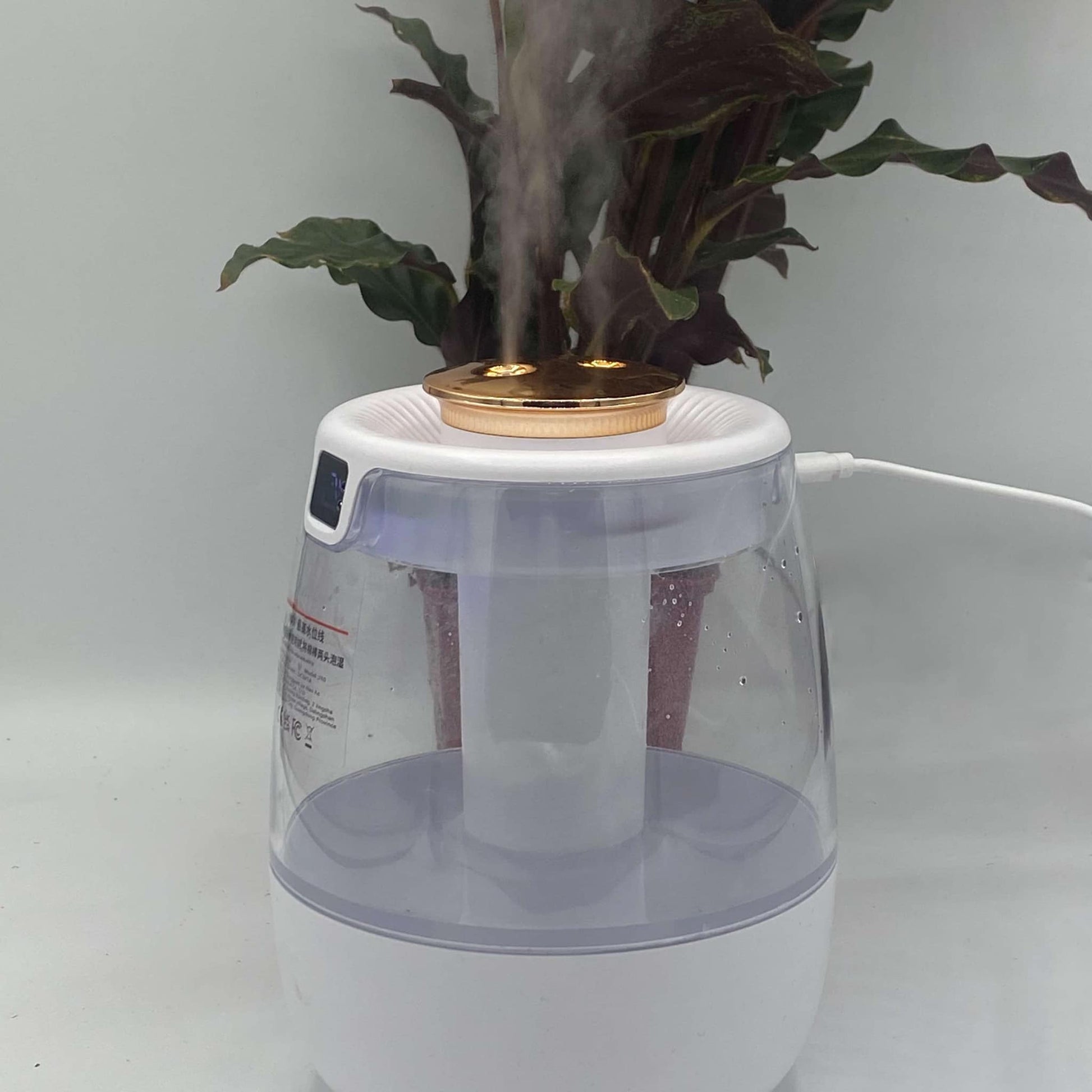 Humidificateur d'air en action