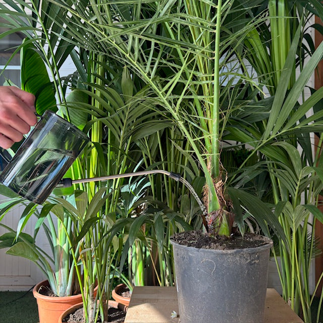 Regadera de acero inoxidable con pico largo