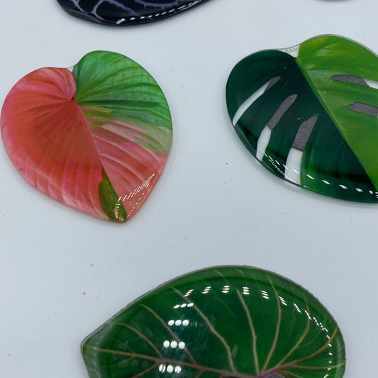 Imanes de hojas tropicales