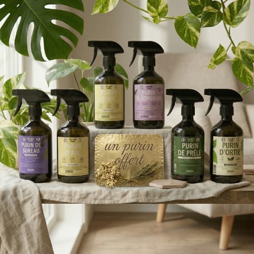 Kit de 6 purins naturels Jungle Feed présentés avec une boîte cadeau dorée "un purin offert" sur fond végétal avec plantes tropicales - Solution bio complète pour plantes d'intérieur et jardin