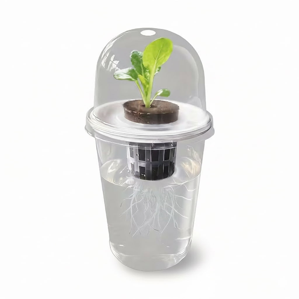 Kit de Germination Hydroponique - Pot de Culture pour Débutants - Jungle Feed
