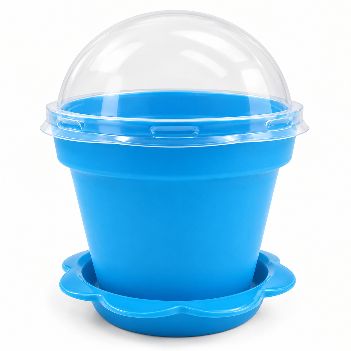 Mini-serre de semis avec dôme transparent et soucoupe - Bleu