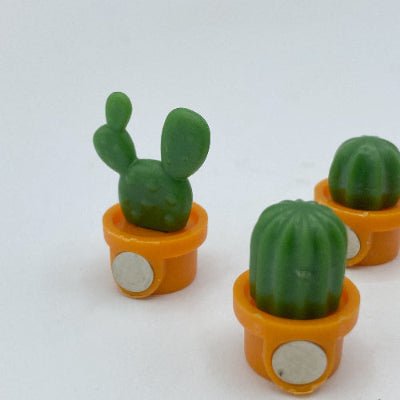 Aimants Décoratifs Cactus 3D - Lot de 6 - Jungle Feed