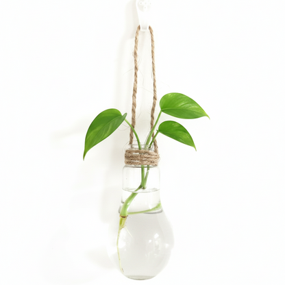 Mini-vase ampoule en verre suspendu par corde de jute pour bouture de Pothos, fond blanc épuré.