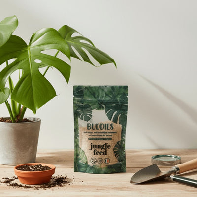 Anti Thrips, moucherons de terreaux et cochenilles - Buddies - 1 à 3 plantes - Jungle Feed