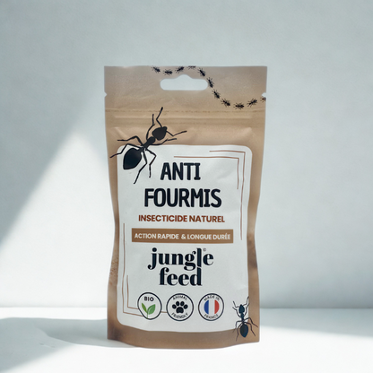 Appât en boîte anti-fourmis pour un traitement biologique. Ce produit naturel aide à éliminer les fourmis sans danger pour l'environnement.