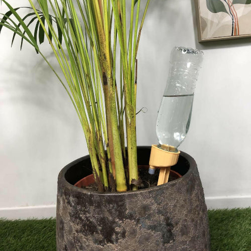 Arroseur goutte - à - goutte de précision Jungle Feed - Jungle Feed