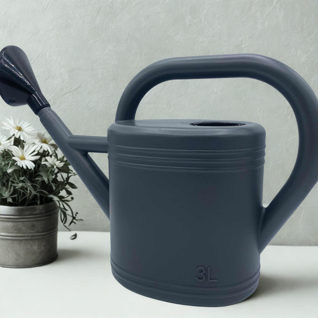 Arrosoir gris foncé de 3L posé sur une table blanche à côté d'une petite plante en pot de marguerites blanches, avec un fond gris clair