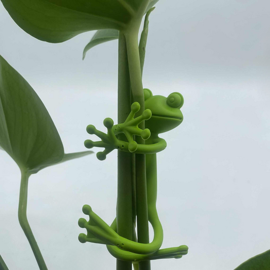 Attache de plante en silicone vert en forme de grenouille, maintenant une tige de plante droite. Accessoire de jardinage décoratif et fonctionnel