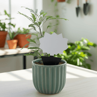 Attrape-mouches et moucherons pour plantes - Protection efficace - Jungle Feed