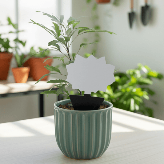 Attrape - mouches et moucherons pour plantes - Protection efficace - Jungle Feed